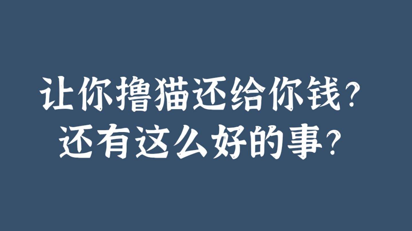 发快递捞钱的偏门野路子（仅做揭秘）